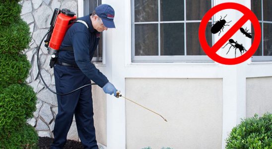 Türkoğlu Hamam Böceği İlaçlama böcek ilaçlama ve haşere kontrolü — ilaclama-tr.com